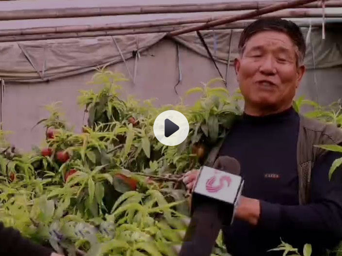 山東電視臺農科采訪